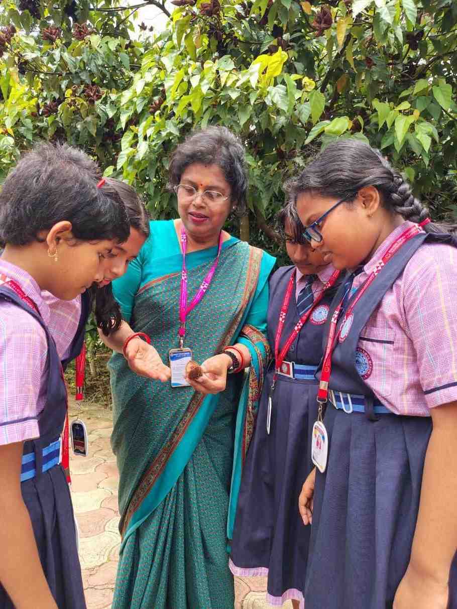 Bhavans celebrates vanamahotsava
