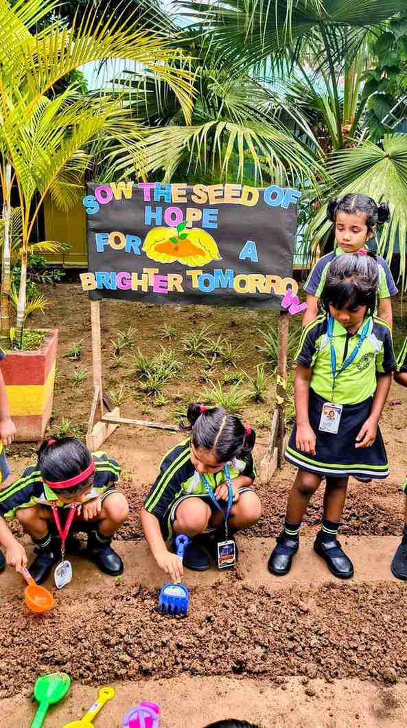 Let us sow seeds