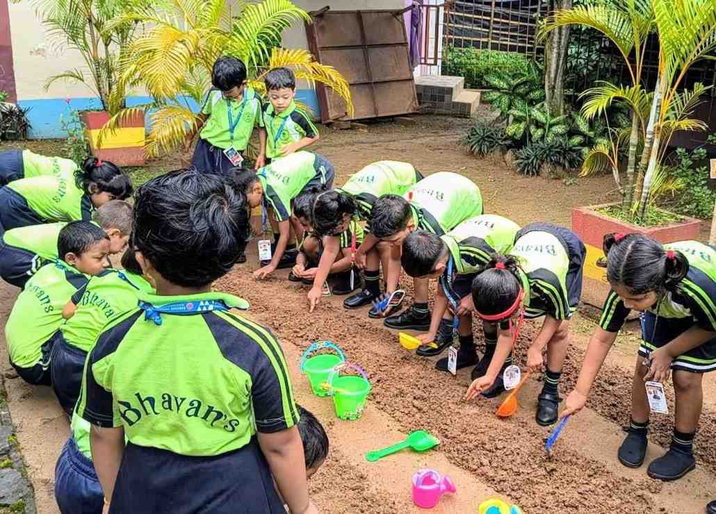Let us sow seeds