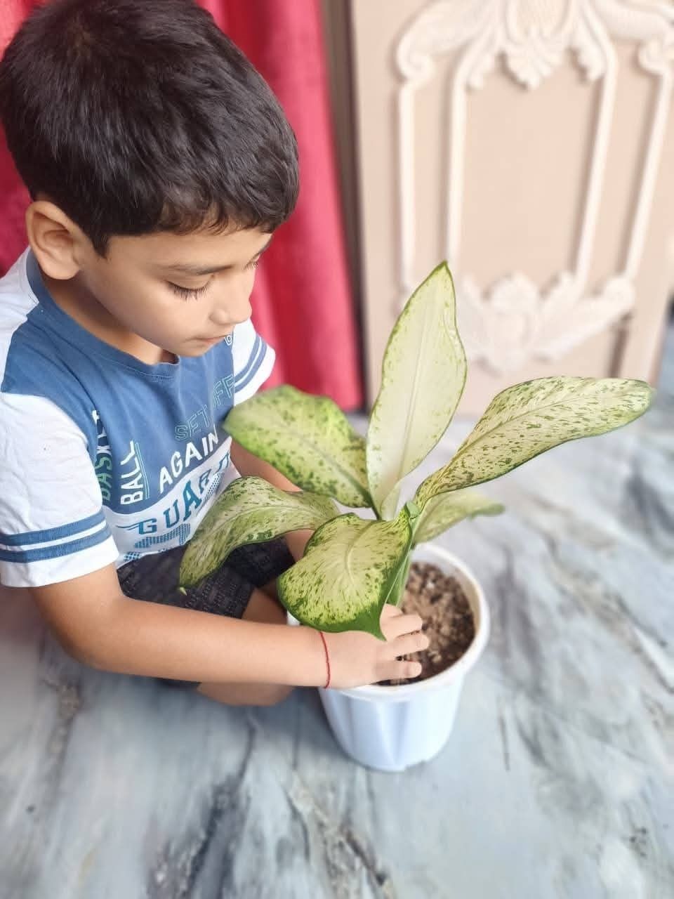 Our little eco warriors from class I to IV