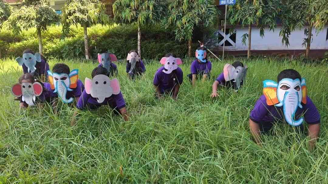 World Elephant Day